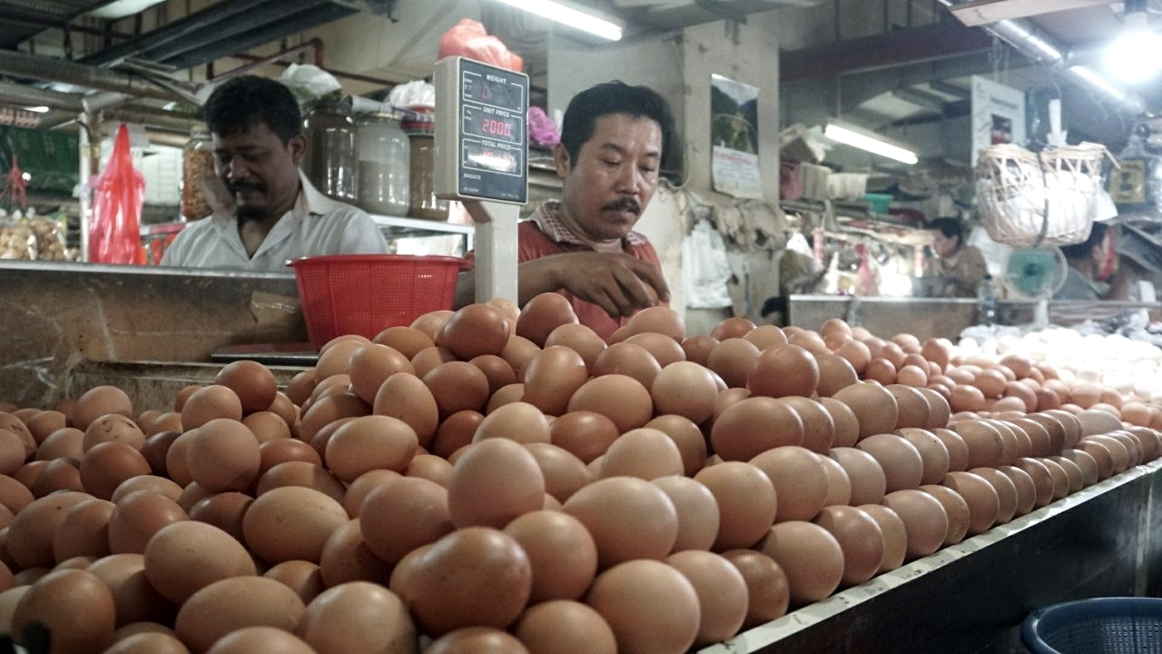 Sempat Melambung, Kini Harga Telur Berangsur Turun Rp20.000